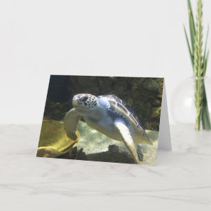 Cartão sea turtle greeting card (blank inside)