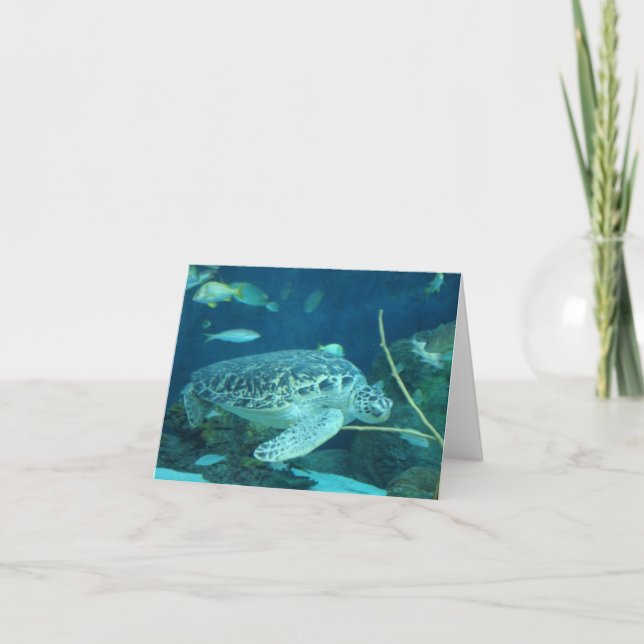 Cartão sea turtle note card (Frente)