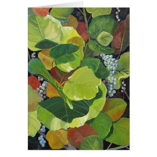 Cartão Seagrape (Frente)