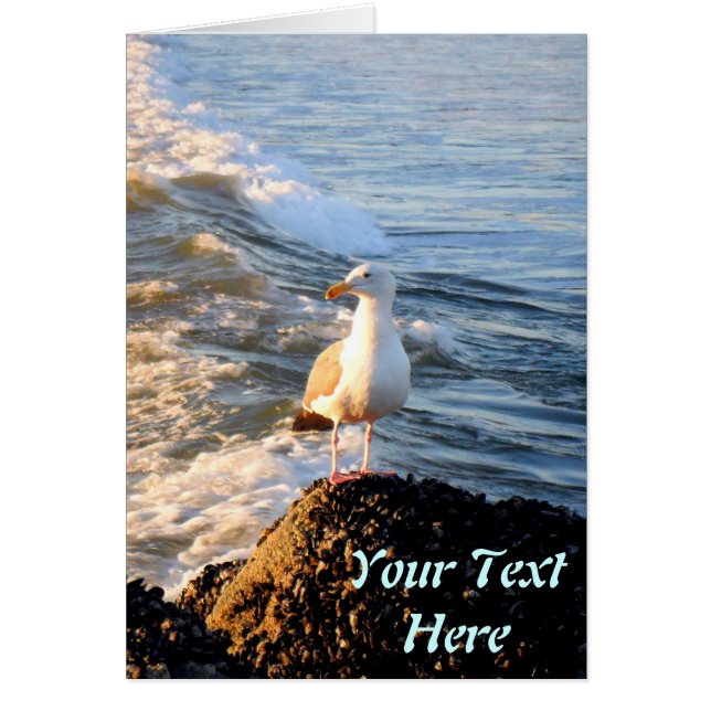 Cartão Seagull (Frente)