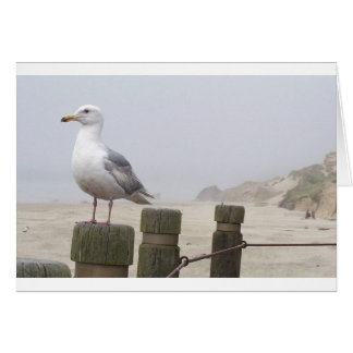 Cartão Seagull