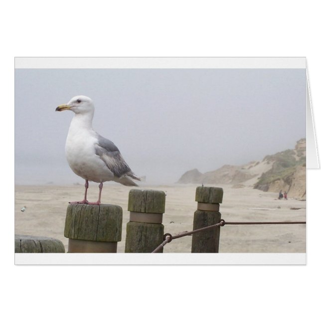 Cartão Seagull (Frente Horizontal)