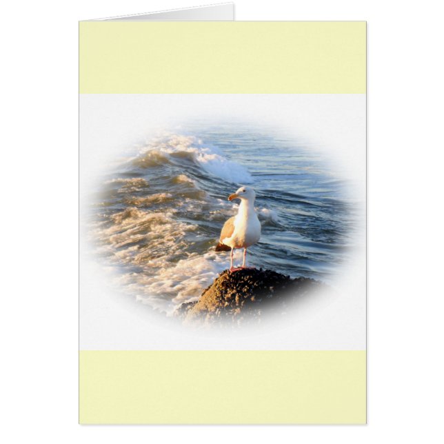 Cartão Seagull (Frente)