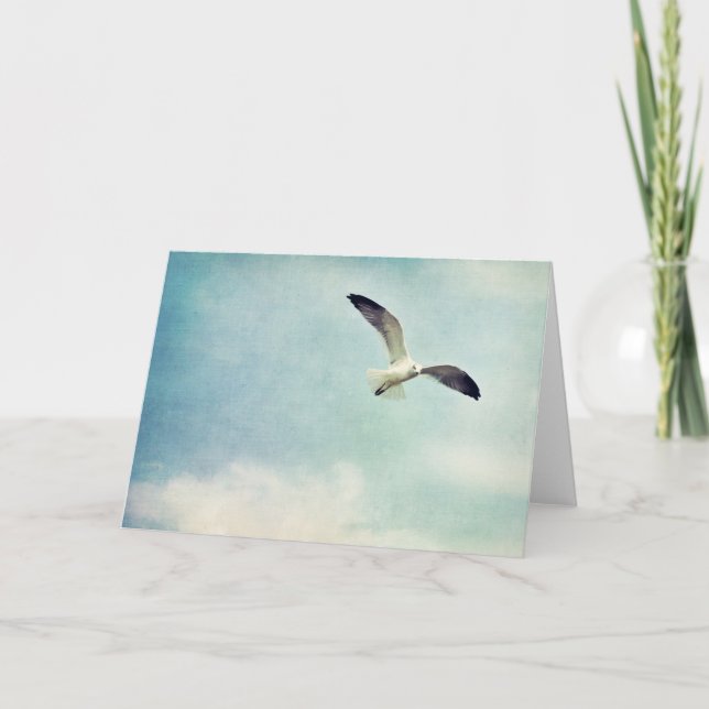 Cartão Seagull Blank Greeting Card (Frente)