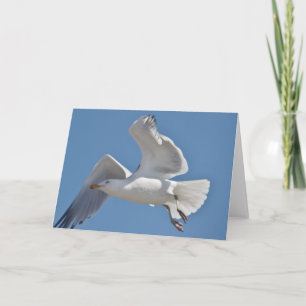Cartão Seagull greeting card