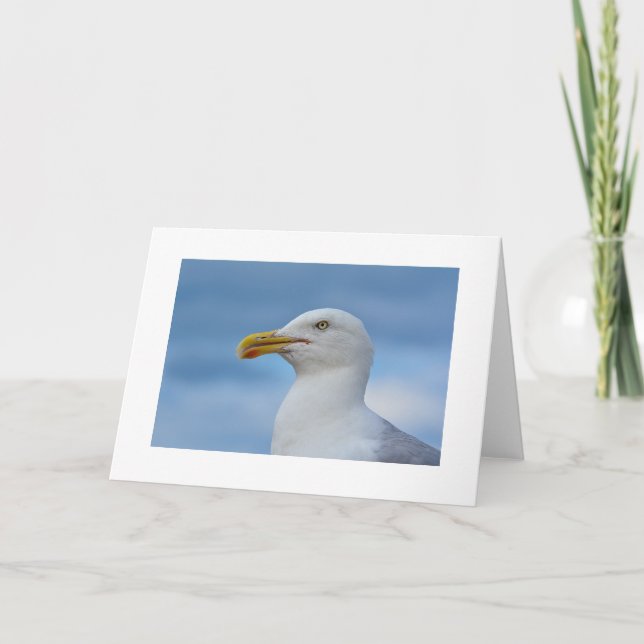 Cartão Seagull Greetings Card (Frente)