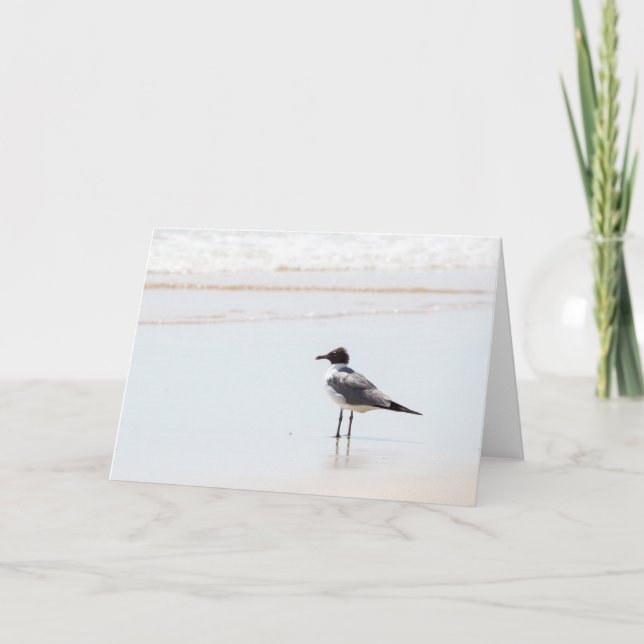 Cartão Seagull on the Beach Blank Greeting Card (Frente)