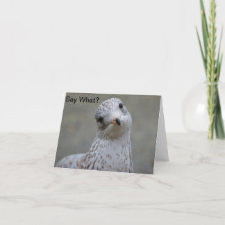 Cartão Seagull Say What? Note Card