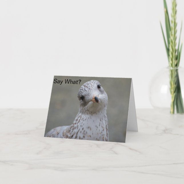 Cartão Seagull Say What? Note Card (Frente)