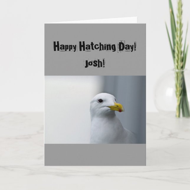 Cartão Seagulls Happy Hatching Birthday (Frente)