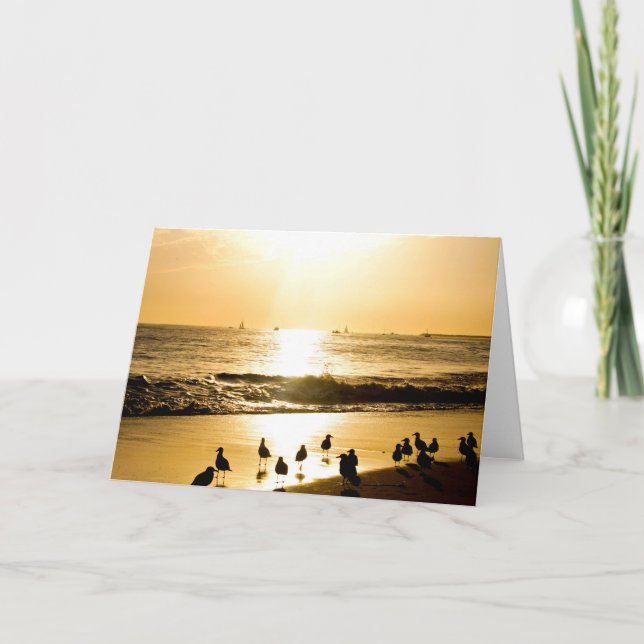 Cartão Seagulls on the Beach at Sunset (Frente)