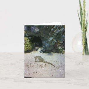 Cartão Seahorse Note Card