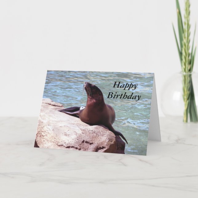 Cartão Seal Birthday Card (Frente)