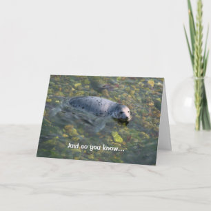 Cartão Seal of Approval