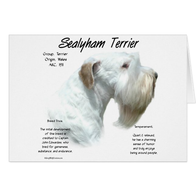 Cartão Sealyham Terrier History (Frente Horizontal)