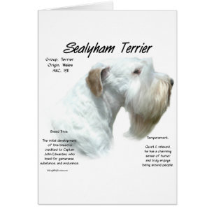 Cartão Sealyham Terrier History