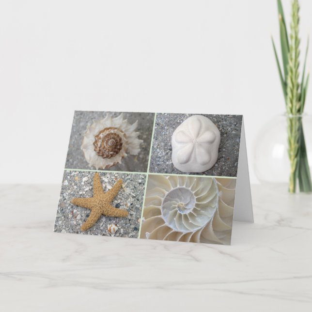 Cartão Seashell Collage (Frente)