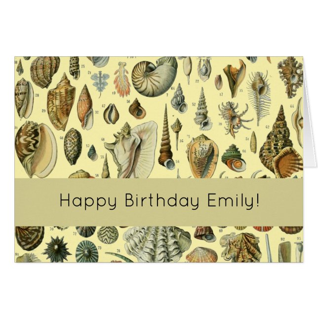 Cartão Seashell Shell Mollusk Clam Elegant Clam Art (Frente Horizontal)