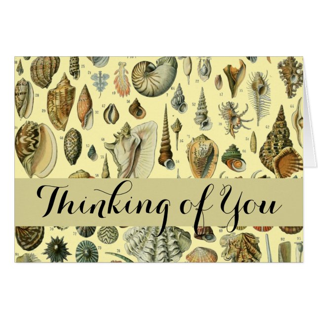 Cartão Seashell Shell Mollusk Clam Elegant Clam Art (Frente Horizontal)