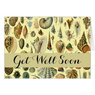 Cartão Seashell Shell Mollusk Clam Elegant Clam Art