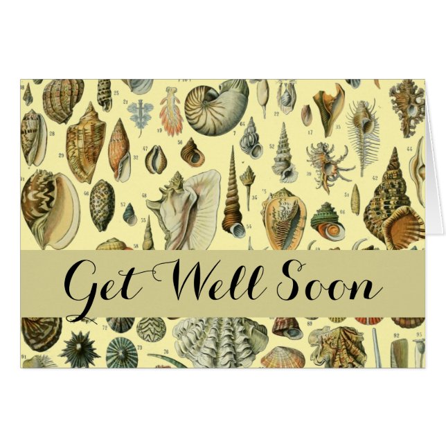 Cartão Seashell Shell Mollusk Clam Elegant Clam Art (Frente Horizontal)