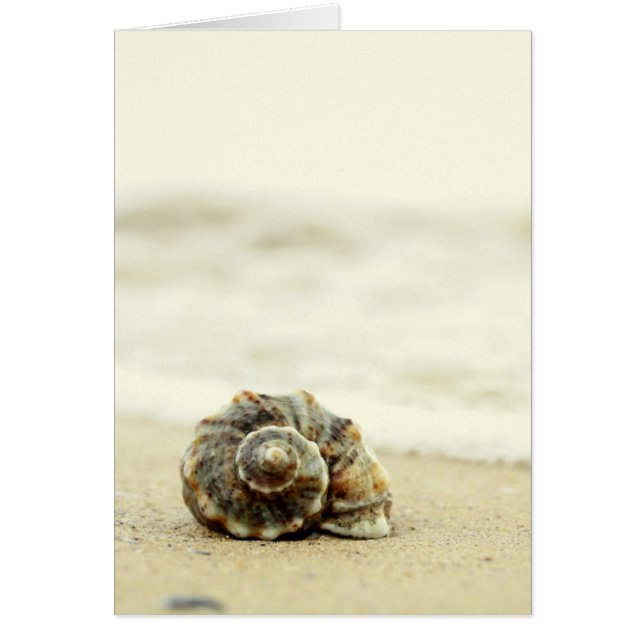 Cartão Seashell Sozinha Em Praia (Frente)