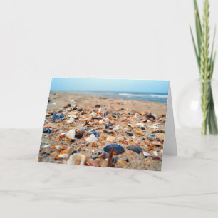 Cartão Seashells on the Beach Greeting Card