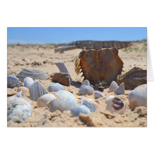 Cartão Seashells on the Beach por Shirley Taylor
