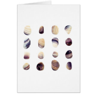 Cartão Seashells resistidos