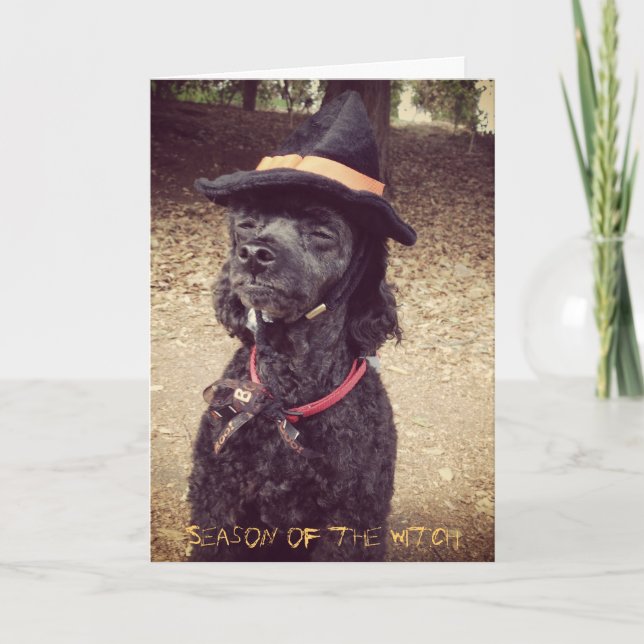 Cartão Season of the Witch (Frente)