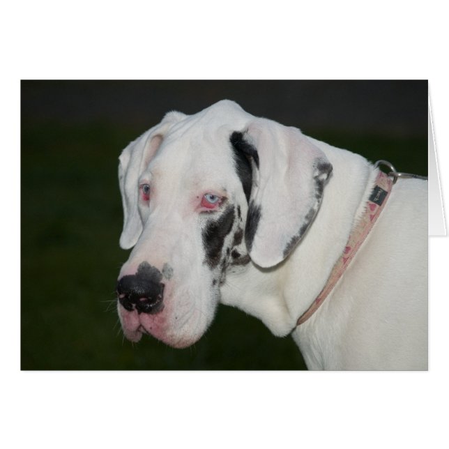 Cartão Sebastian (Frente Horizontal)