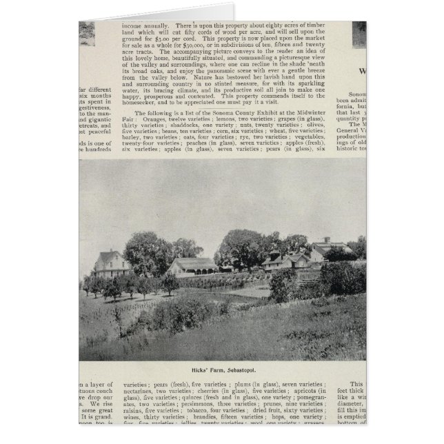 Cartão Sebastopol, Califórnia (Frente)