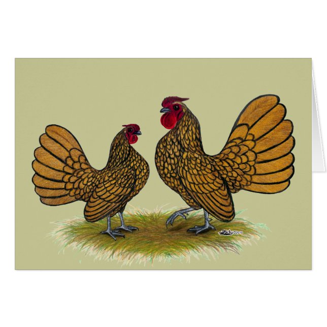 Cartão Sebright Bantams: Ouro (Frente horizontal)