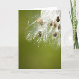 Cartão Seeds Greeting Card