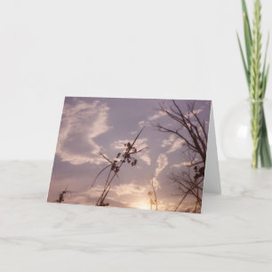 Cartão Seeds in Early Evening