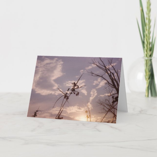 Cartão Seeds in Early Evening (Frente)