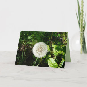 Cartão Seeds Ready to Fly