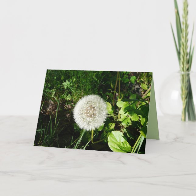 Cartão Seeds Ready to Fly (Frente)