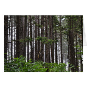 Cartão segundo Beach em La Push, WA