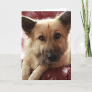 Cartão Seja bem-humorado