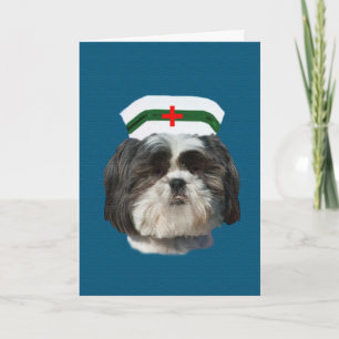 Cartão Seja Bem, Shih Tzu Dog