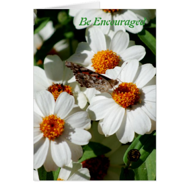 Cartão Seja incentivado (Frente)