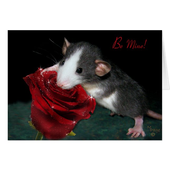 Cartão Seja meu! (Frente Horizontal)