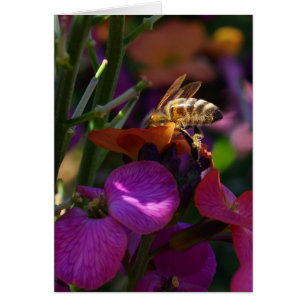 Cartão Seja uma Abelha Ocupada!