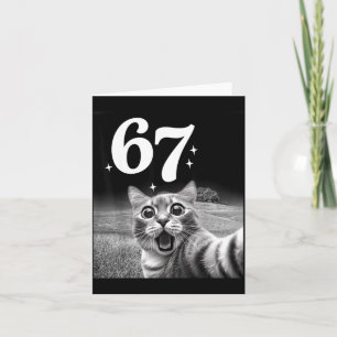 Cartão Selfie de Gato Com 67 Meme Gatos Engraçados Gráfic