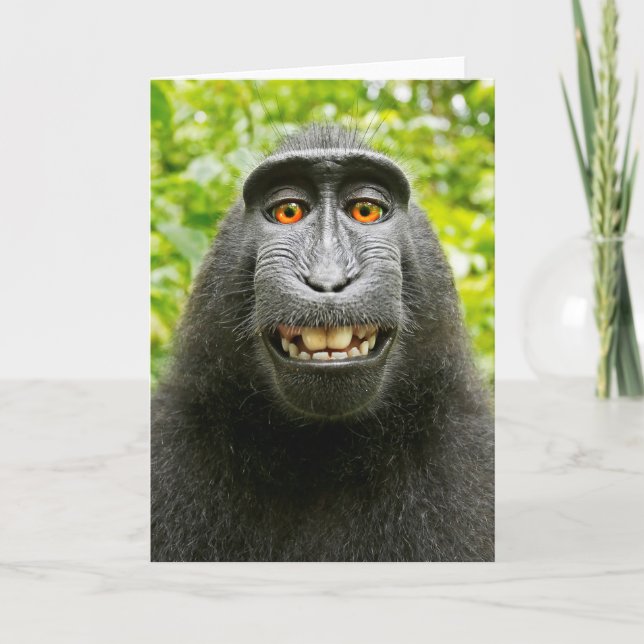 Cartão Selfie de Macaco (Frente)