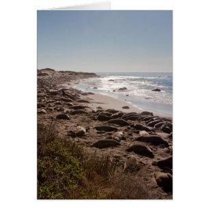 Cartão Selo de elefante