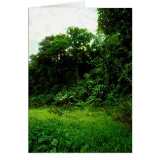 Cartão Selva/Beco de crocodilo