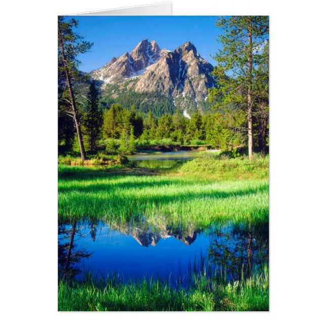 Cartão Selvagem de Sawtooth (Frente)