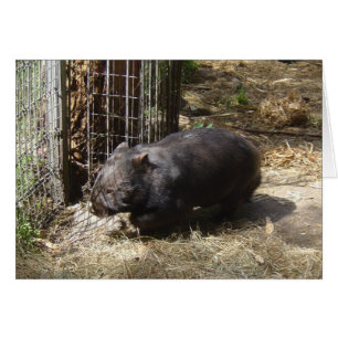 Cartão Selvagem para Wombats